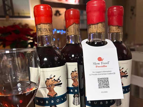 Vino Santo from smoked grapes of the Upper Tiber Valley Slow Food Presidium. Bubbola produced by the Morganti Family