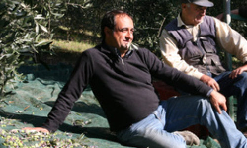 Massimo Agabiti - Oliveto farm